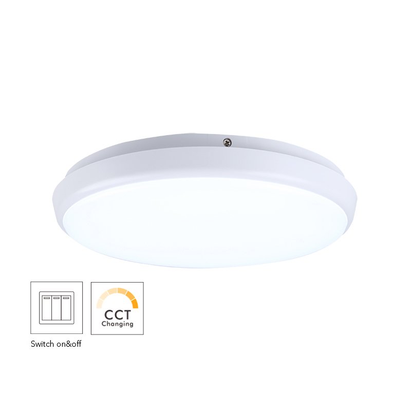 250mm Round Dimmable LED Ceiling Lamp